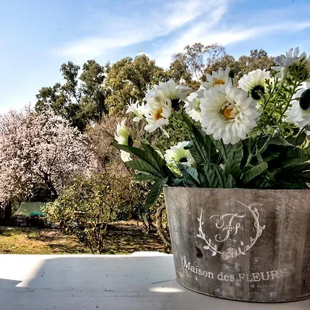 Helen By The River *