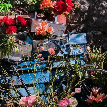 Helen By The River *